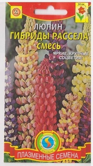 Люпин Гибриды Расселя (Код: 75997)