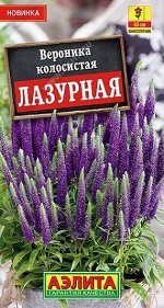 Вероника Лазурная (Код: 14423)