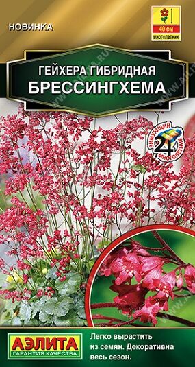 Гейхера Бессингхема гибридная (Код: 92424)
