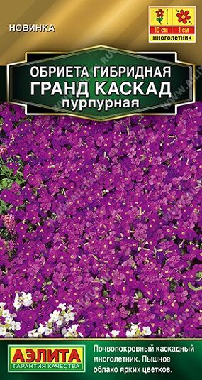 Обриета Гранд каскад пурпурная (Код: 92466)
