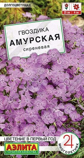 Гвоздика Амурская сиреневая (Код: 92419)