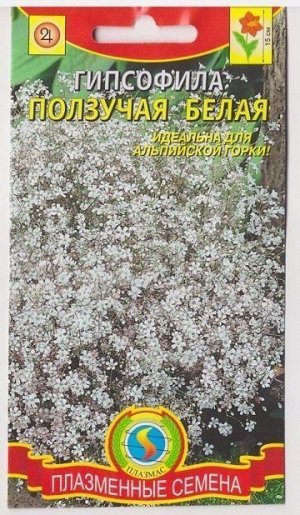 Гипсофила ползучая Белая (Код: 75853)