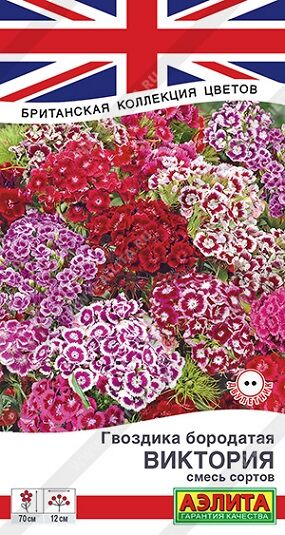Гвоздика Виктория смесь (Код: 92420)