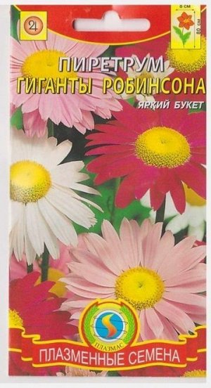 Пиретрум Гиганты Робинсона (Код: 76059)