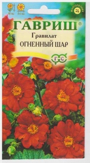 Гравилат Огненный шар (Код: 7962)