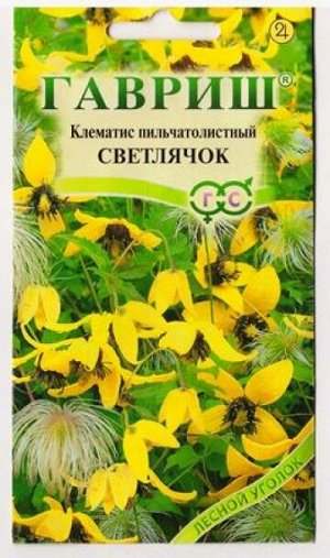 Клематис пильчатолистный Светлячок (Код: 12486)