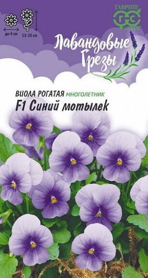 Виола Синий Мотылек F1 (Код: 92726)