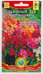 Львиный зев Карликовый Смесь (Код: 75988)