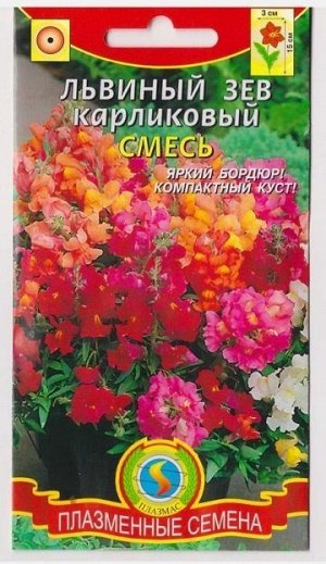 Львиный зев Карликовый Смесь (Код: 75988)
