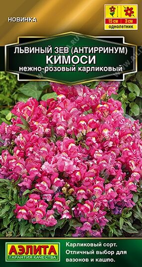 Львиный зев Кимоси нежно-розовый (Код: 92293)