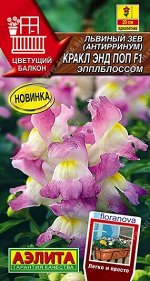Львиный зев Кракл энд поп эпплблоссом F1 (Код: 92297)