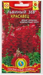 Львиный зев Красавец карликовый (Код: 75986)