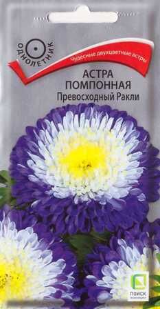 Астра Превосходный Ракли (Код: 86317)
