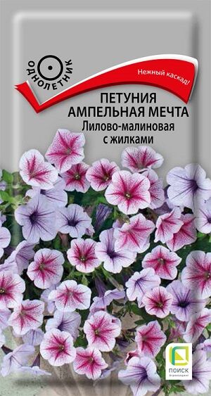 Петуния Мечта Лилово-малиновая с жилками (Код: 92814)