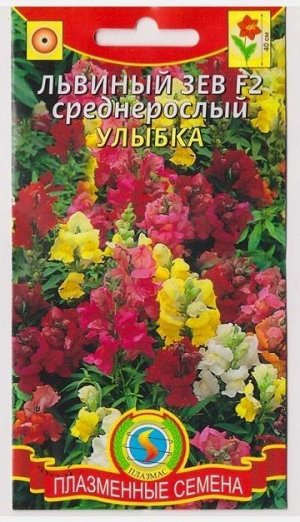 Львиный зев Улыбка F2 (Код: 75983)