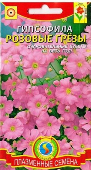 Гипсофила Розовые грезы (Код: 81864)
