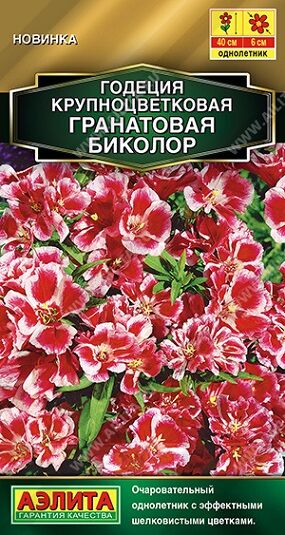 Годеция Гранатовая биколор махровая (Код: 92430)