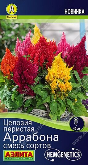 Целозия Аррабона смесь (Код: 92539)