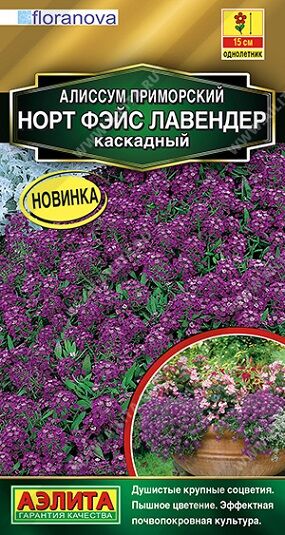 Алиссум Норт фэйс лавандер (Код: 92565)