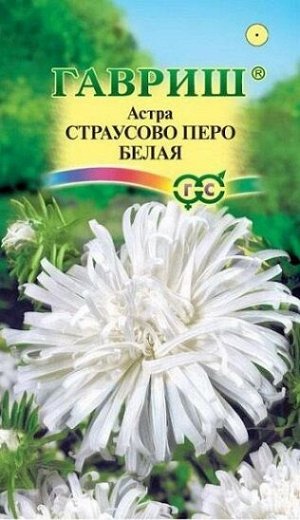 Астра Страусово перо Белая (Код: 92895)