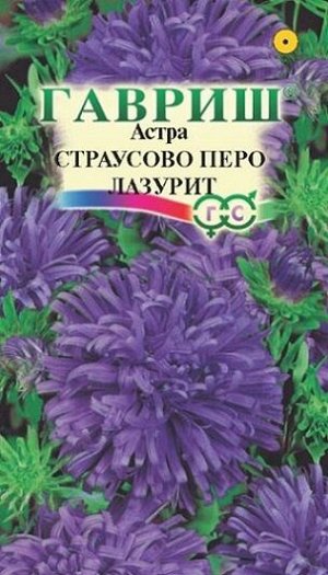 Астра Страусово перо Лазурит (Код: 92896)