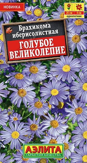 Брахикома Голубое великолепие (Код: 92402)