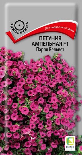 Петуния Парпл Вельвет ампельная F1 (Код: 65569)