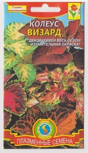 Колеус Визард (Код: 75925)