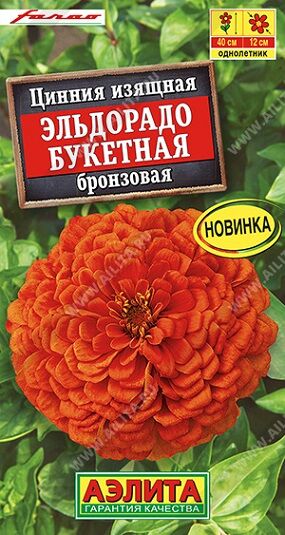 Циния Эльдорадо Букетная Бронзовая (Код: 92550)