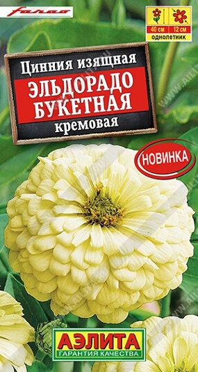 Цинния Эльдорадо Букетная Кремовая (Код: 92552)