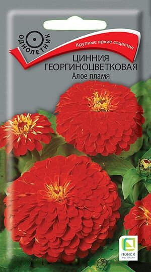 Цинния Алое Пламя (Код: 67418)