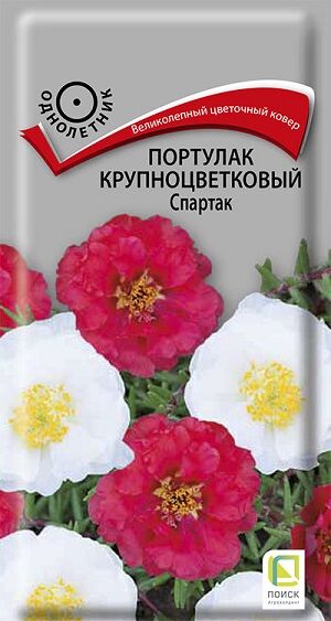 Портулак Спартак (Код: 92836)
