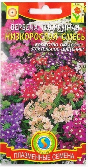 Вербена гибридная смесь (Код: 75141)
