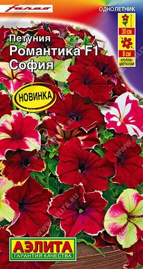 Петуния Романтика София F1 (Код: 92770)