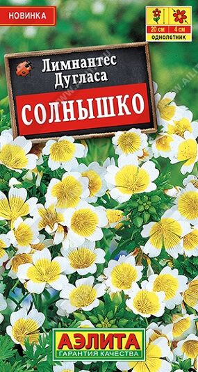 Лимнантес дугласа Солнышко (Код: 92452)