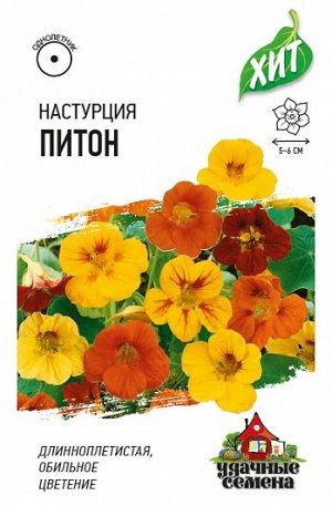 Настурция Питон ХИТ (Код: 15679)