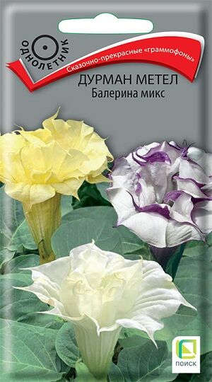 Дурман метел Балерина Микс (Код: 2742)