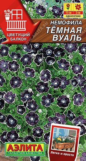 Немофила Темная вуаль (Код: 92463)