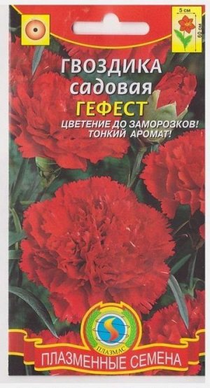 Гвоздика Садовая Гефест (Код: 75832)