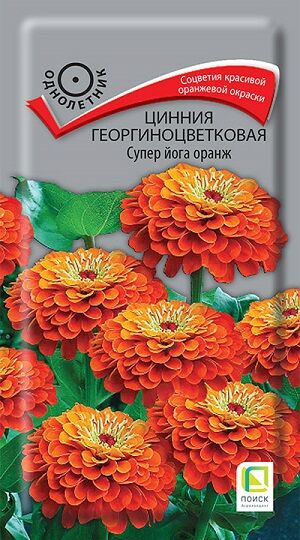 Цинния Супер йога оранж (Код: 67728)