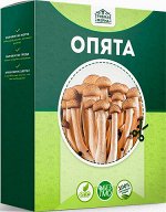 Опята грибы ( грибница домашняя)