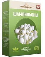 Шампиньоны грибы (грибница домашняя)