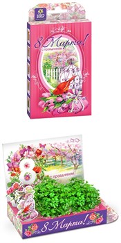 Подарочный набор Живая открытка Букет тюльпанов