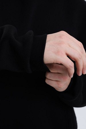 Толстовка мужская 22302