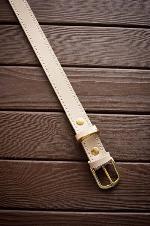 Ошейник кожаный классический XL молочный (42-50см) Arctic Lion