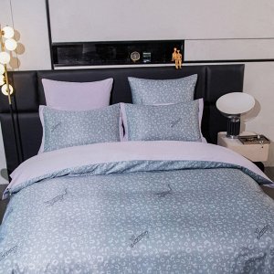 Комплект постельного белья Сатин Magic Sleep MS009