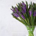 Искусственные растения. ЕвроКачество
