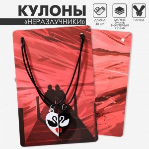 Кулоны парные на магните «Лебеди в сердце», 40 см, цвет белый/чёрный