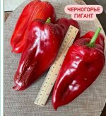 &quot;Перец сладкий ЧЕРНОГОРЬЕ                                       ГИГАНТ &quot;