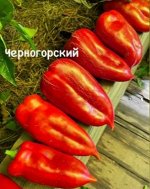 &quot;Перец сладкий          ЧЕРНОГОРСКИЙ          ( название условное)&quot;
